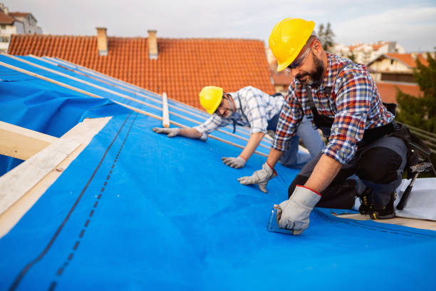 Emergency Roof Repair in Severance, CO